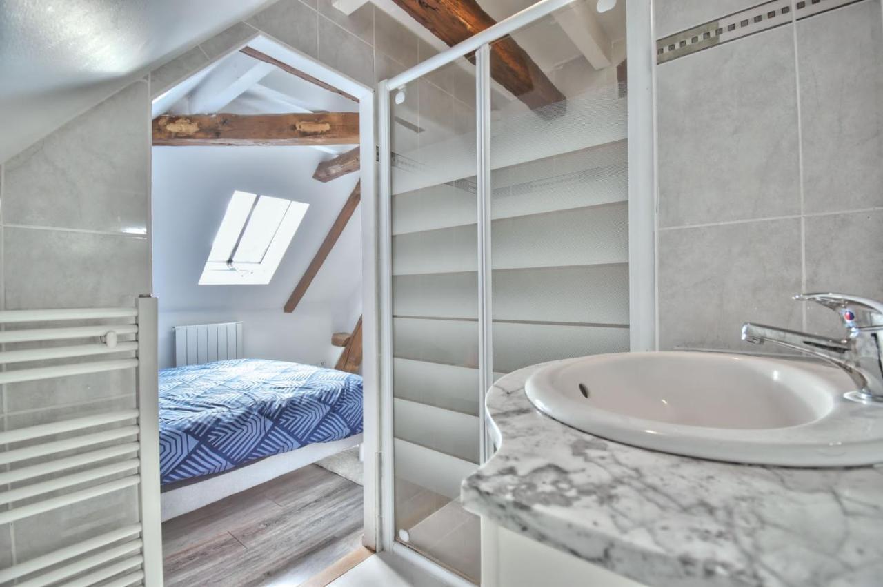 Superbe Appartement Centre-Ville Nogent-le-Roi Zewnętrze zdjęcie